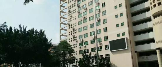 广东省外语艺术职业学院怎么样、好不好