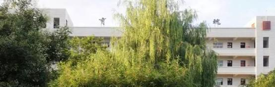 临洮中学