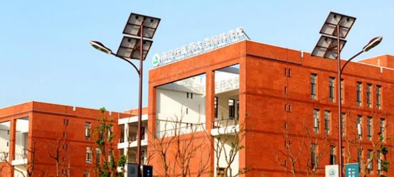 南京中医药大学翰林学院是不是双大学？