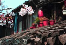 系统学习