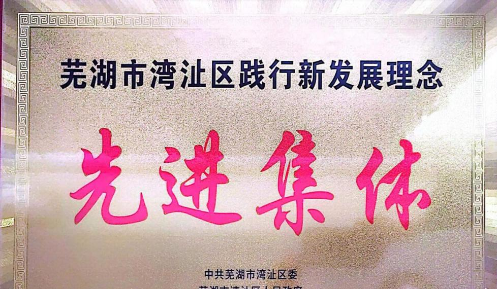 芜湖医药卫生学校