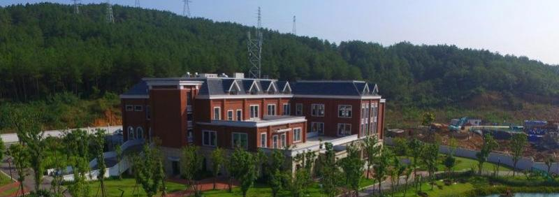 广元天立国际学校初中部网站