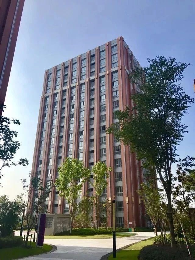 学生公寓.jpg