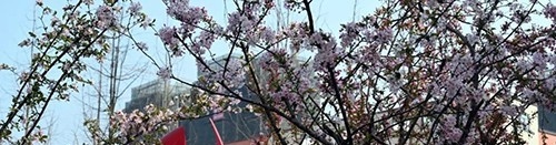 青神中学2022年招生代码