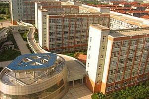 上海金苹果双语学校国际部.jpg