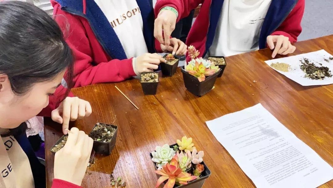 园林花艺工作坊.jpg