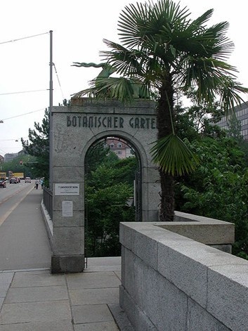 伯尔尼大学