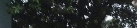 百色右江区职业技术学校