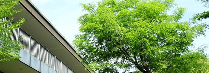 杭州育澜剑桥国际中心2020年招生计划