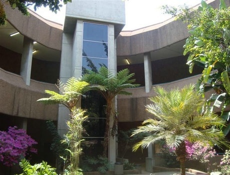 茨瓦尼科技大学