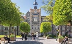 布莱顿学院
