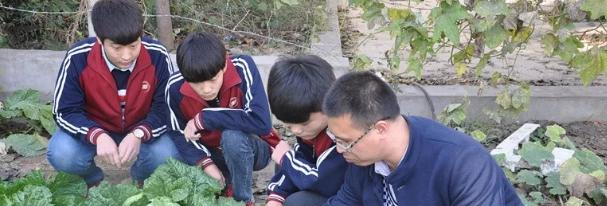 武安市职教中心