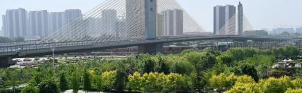2023保定电力职业技术学院单独招生成绩查询、入口