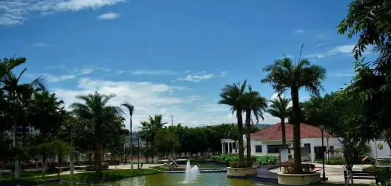 重庆万州赛德国际学校初中部2023年课程体系