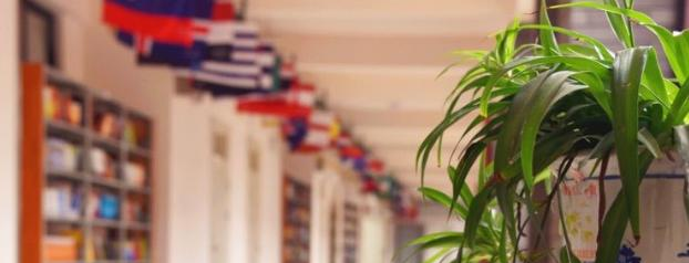 清镇博雅国际实验学校小学部2020年招生办