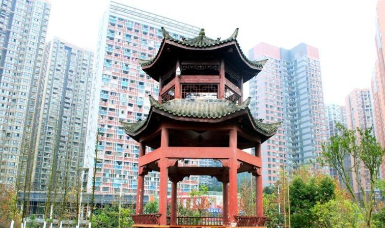 重庆应用技术职业学院