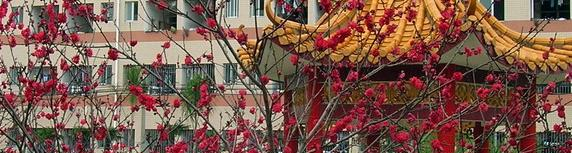 广西桂林农业学校