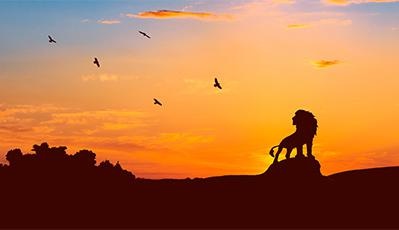 《人生系统：引爆生命核动力》特训