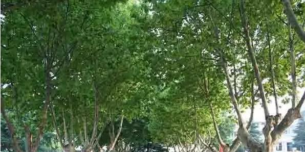 秦淮中学地址，乘车路线