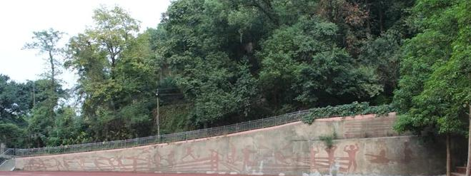 截图_20211116125530