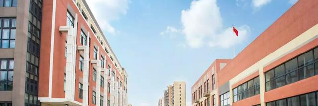  上海七宝德怀特高级中学2022年入学条件