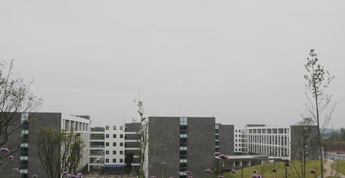 四川卫生康复职业学院怎么样、好不好