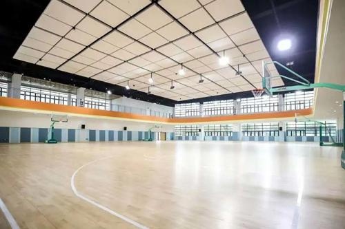南京金地未来学校室内篮球场