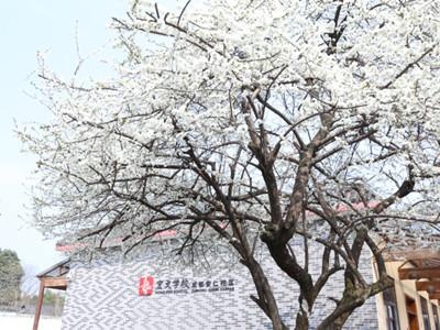 宏文学校成都校区