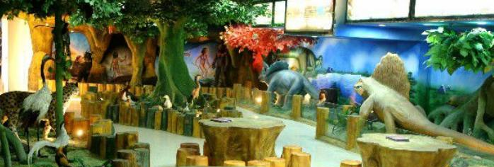 北京五十五中学国际部