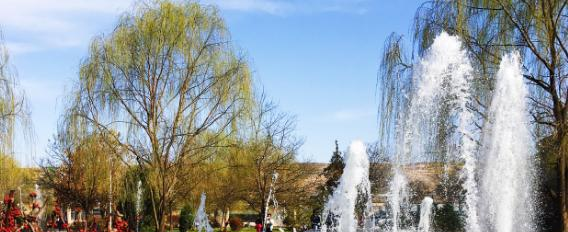 定西师范高等专科学校2020年招生办