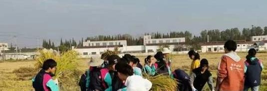 江苏宜兴高级中学2020年学费、收费多少