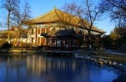 北京引航者教育