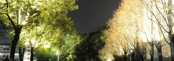 江西生物科技职业学院2020年报名条件、招生要求、招生对象