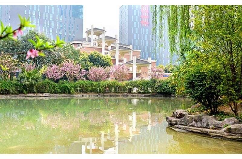 成都美视学校