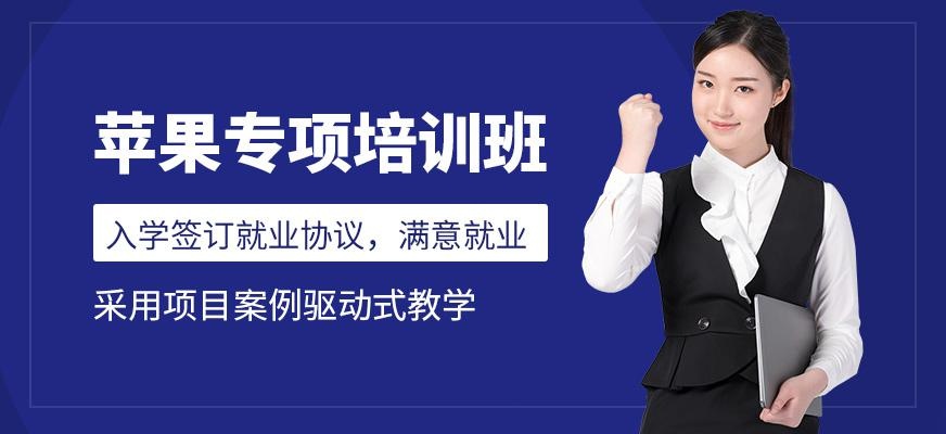 哈尔滨宏艺苹果剪辑软件培训