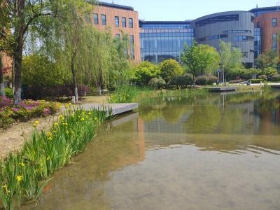 西安交通大学苏州研究院（国际本硕连读项目）