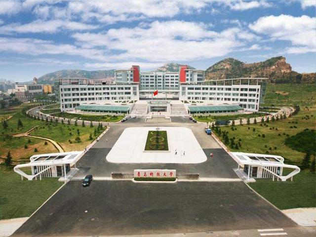校园风采（二）