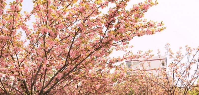 安徽国防科技职业学院单招简章