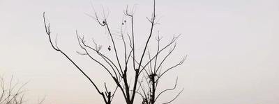 云南电子技工学校