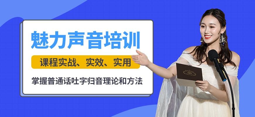 魅力声音培训