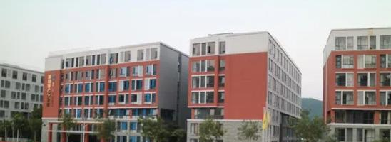 瑞得福国际学校2023年入学考试