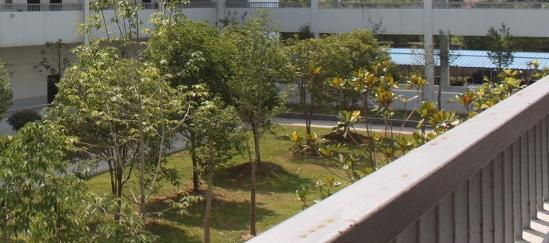 大连医科大学附属卫生学校