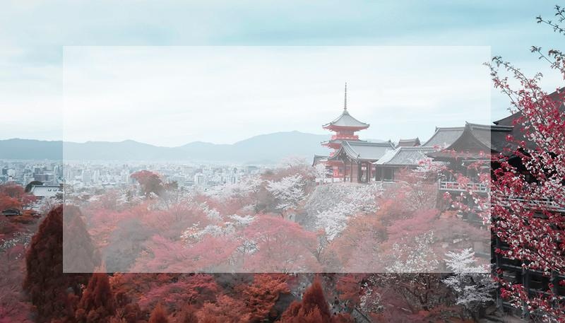 深圳十大日语培训机构排行