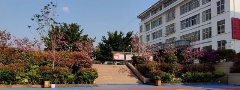 云龙县民族职业高级中学
