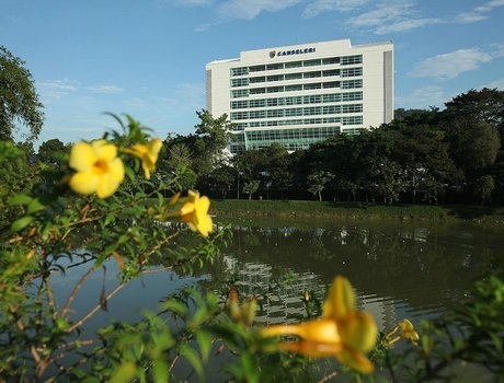 马来亚大学