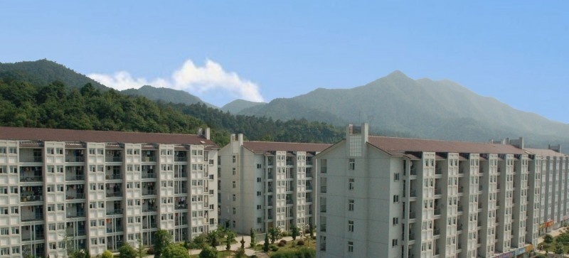 浙江长征职业技术学院单招成绩查询时间