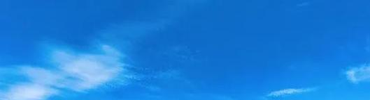 四川农业大学双学科有哪些?(2022)