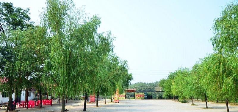 新野县中等职业学校2021年招生办