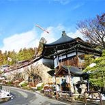 较高审美素养