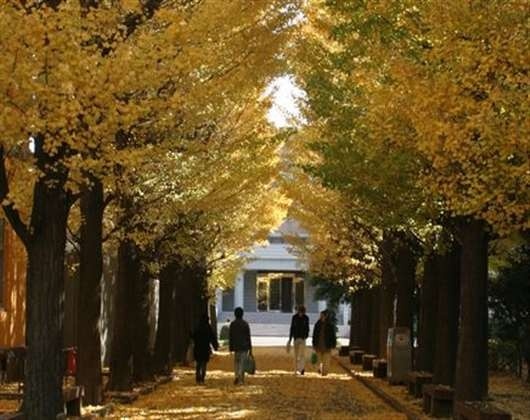 静冈福祉大学